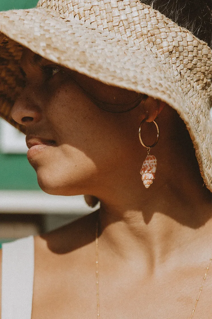 Big Clasp Hoop Shell Earrings | Granulated Cowrie Shell   Miter Shell