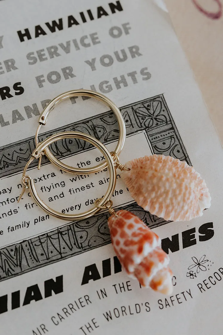 Big Clasp Hoop Shell Earrings | Granulated Cowrie Shell   Miter Shell