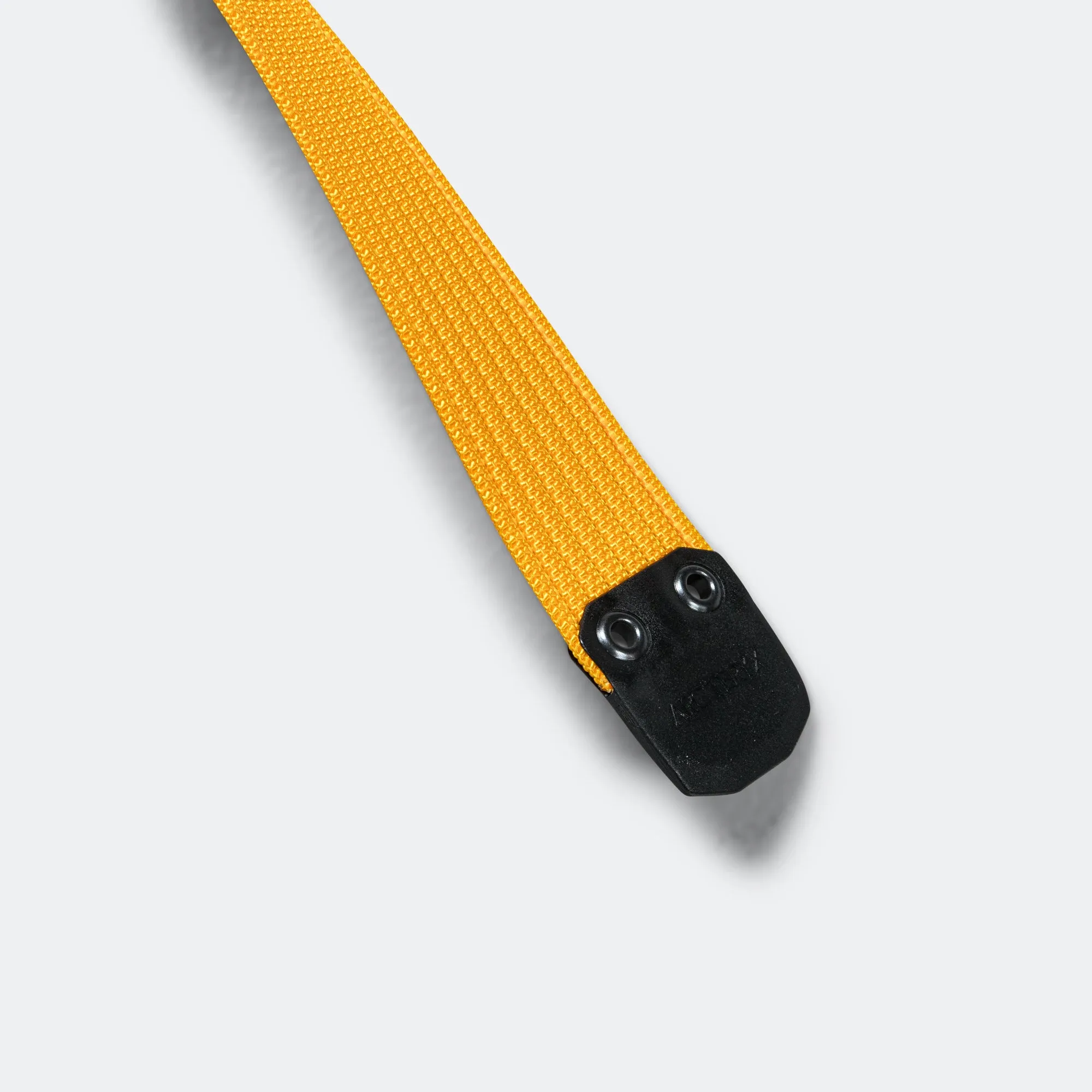Conveyor Belt 38mm - Edziza