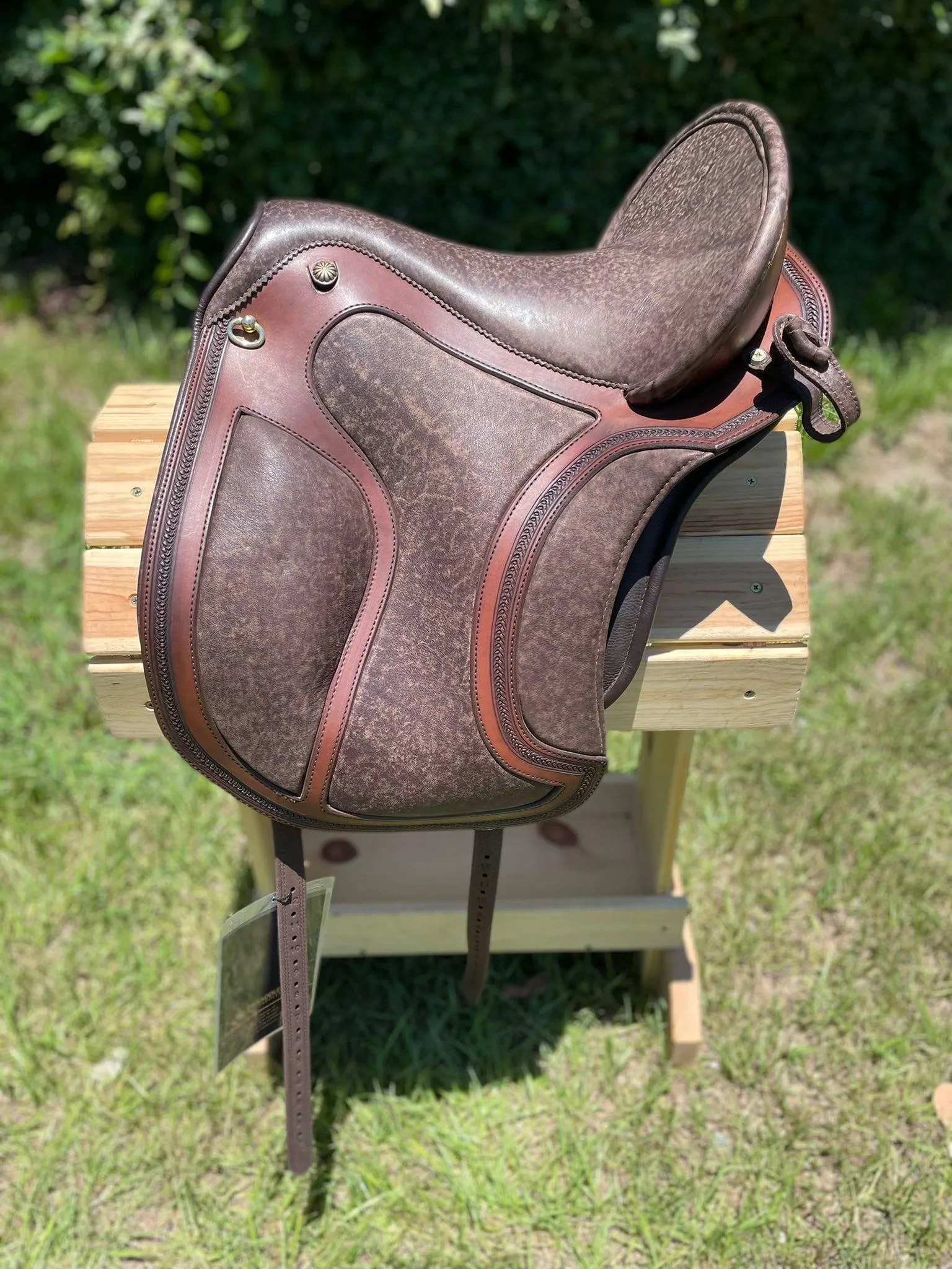 DP Saddlery El Campo Shorty 5044